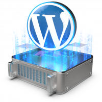 Wordpress multisite VPS OVHcloud
